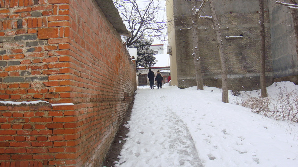 DSC04953.JPG