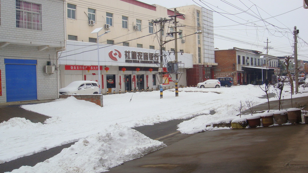 DSC04956.JPG