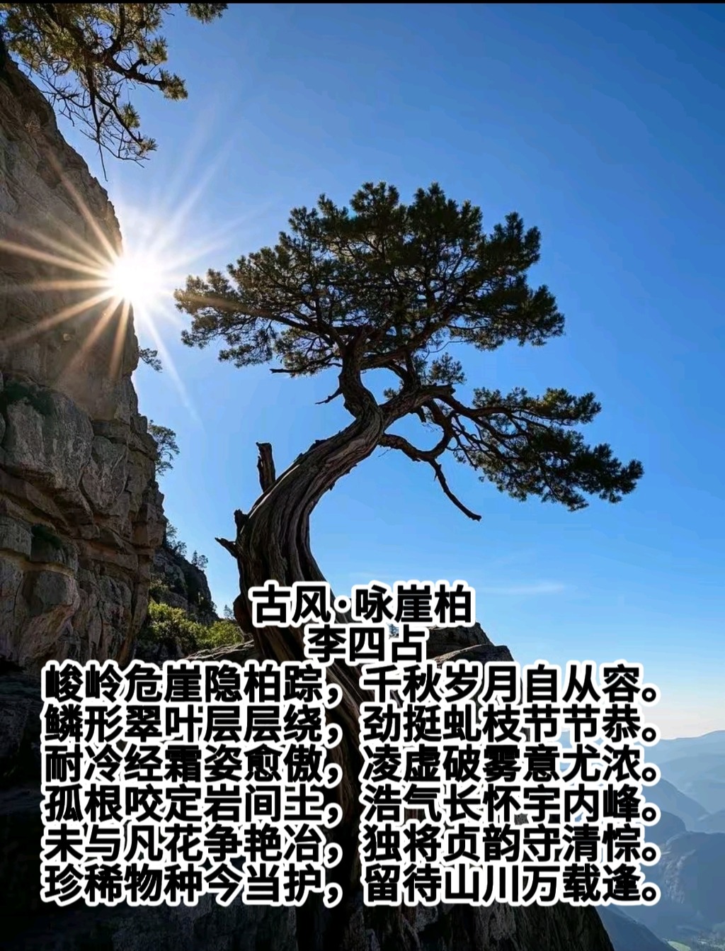retouch_2025031208191025.jpg