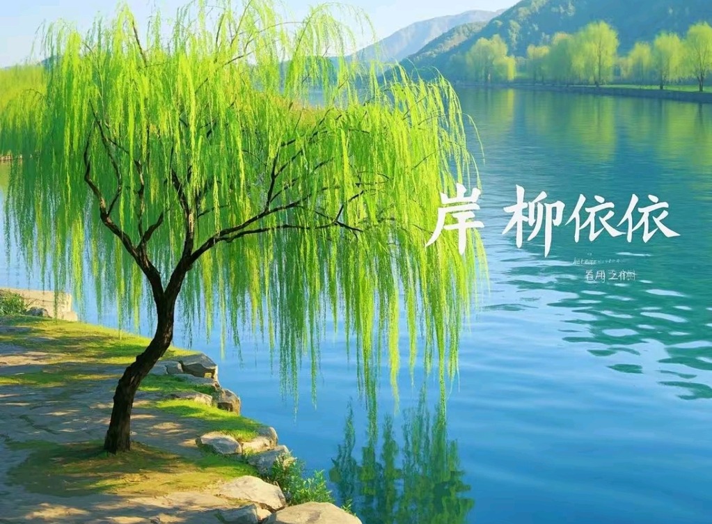 Screenshot_2025-03-15-09-09-26-61_98a3ad1b03a1f4f37bc1b1582cf92d0d.jpg