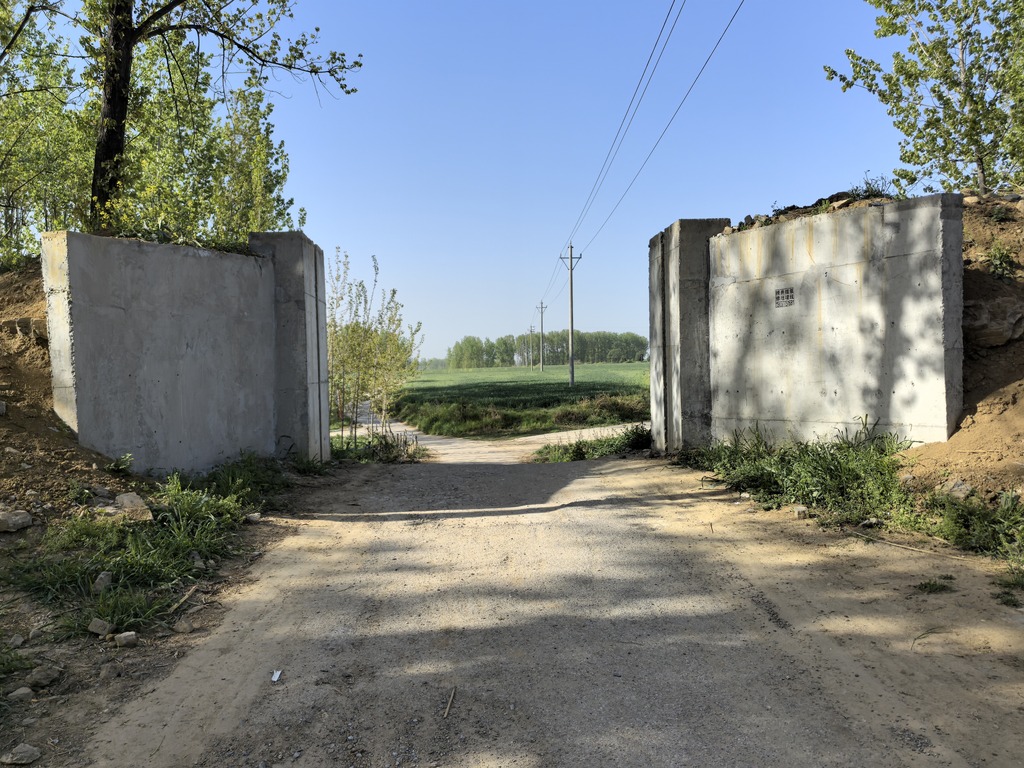 mmexport1744593393592.jpg