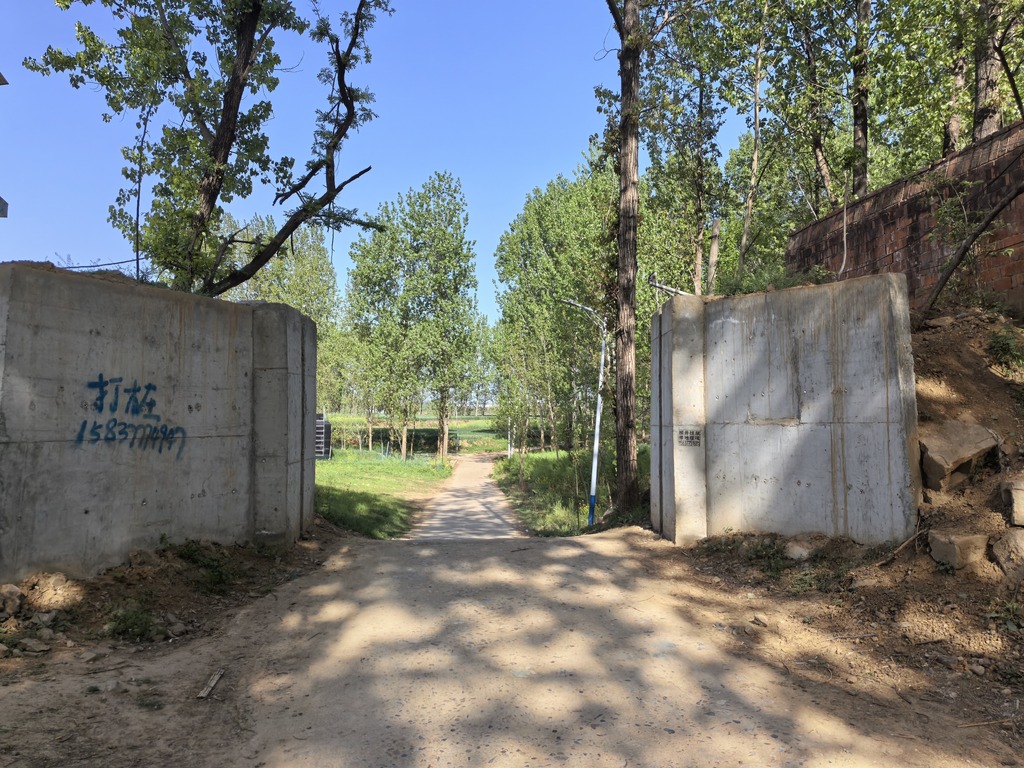 mmexport1744593799979.jpg