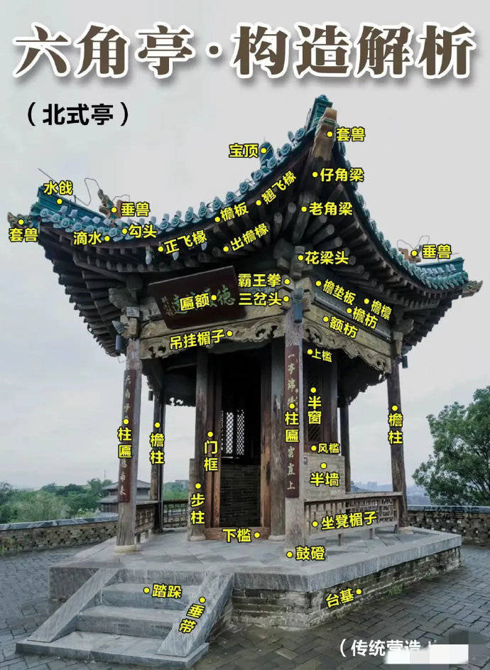45jczzq2ht7go2m259hmsaoo2.jpg