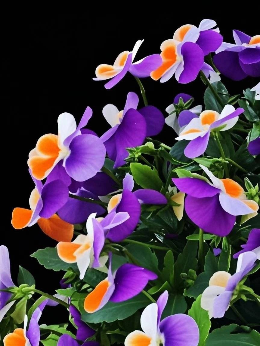 341jvls8rlf6l0p9e4hxpo55q.jpg
