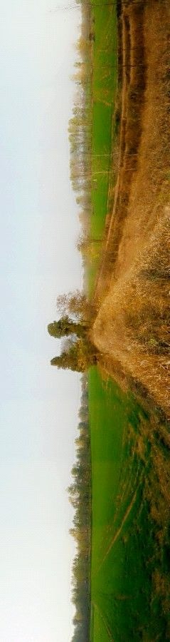 24C81A8A6E75FF83450620859592952F.jpg